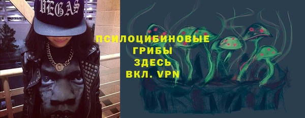 дживик Бронницы