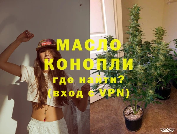 шишки Бородино