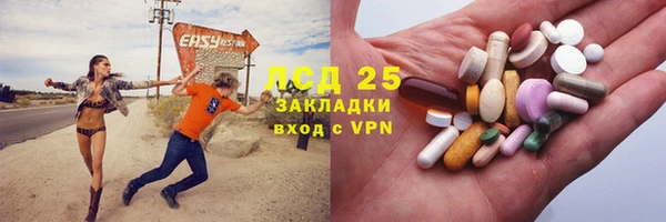 шишки Бородино