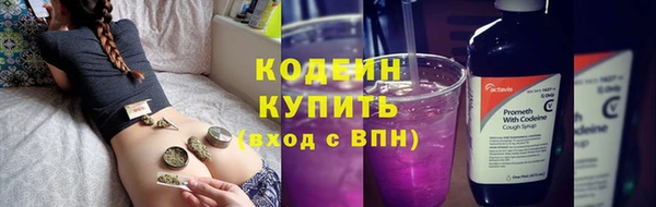 дживик Бронницы