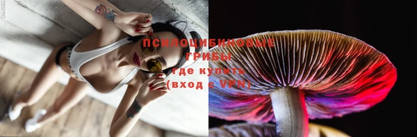 дживик Бронницы