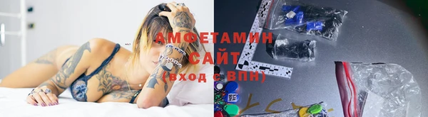 шишки Бородино