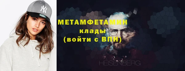 шишки Бородино