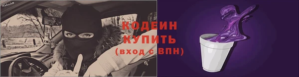 шишки Бородино