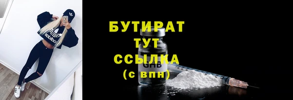 шишки Бородино