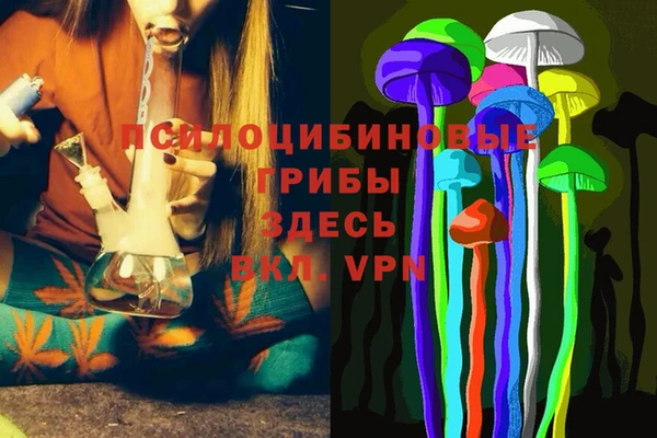 дживик Бронницы