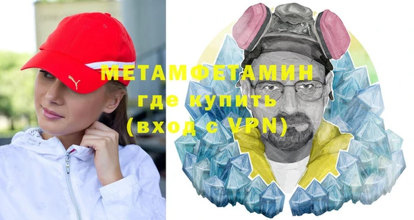 шишки Бородино