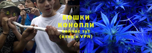 дживик Бронницы