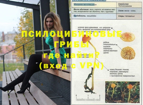 шишки Бородино