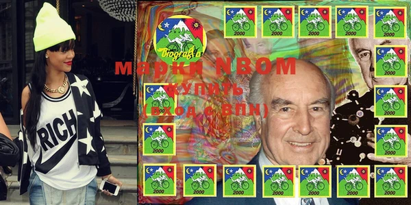 шишки Бородино