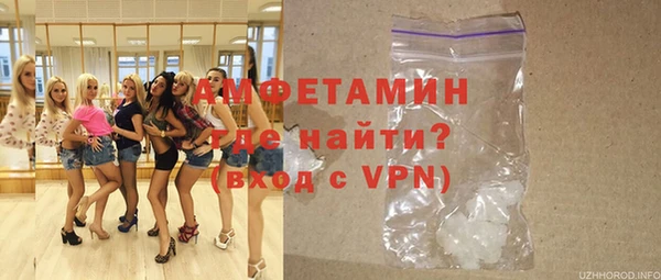 шишки Бородино
